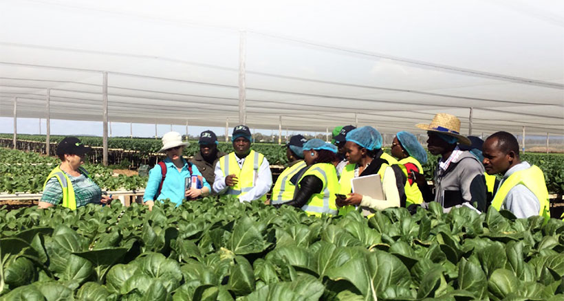 Agribusiness