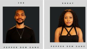 BBNaija introduces Enkay, Joe as new housemates