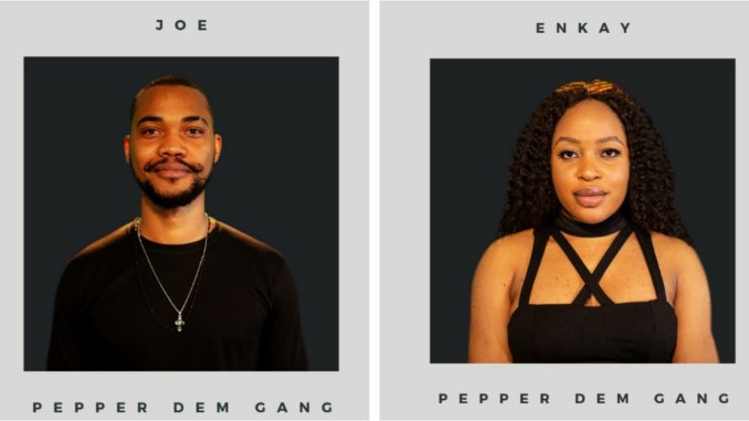 BBNaija introduces Enkay, Joe as new housemates