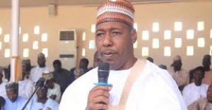 Borno State governor, Babagana Zulum