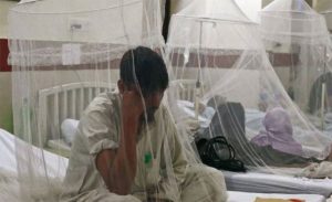 DENGUE