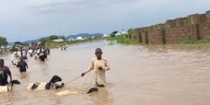 FLOOD
