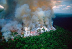 G7 pledges $20 million aid to fight Amazon wildfires