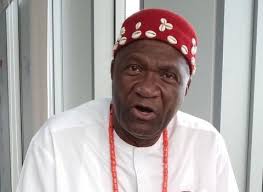 President General of Ohanaeze Ndigbo Worldwide, Chief Nnia Nwodo