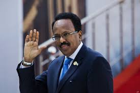 Somalia’s president renounces US citizenship