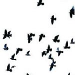 Untitled-22
