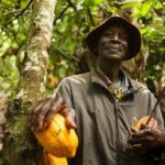 cocoa farmers