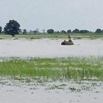 flood-1