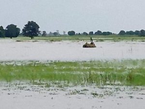 flood-1