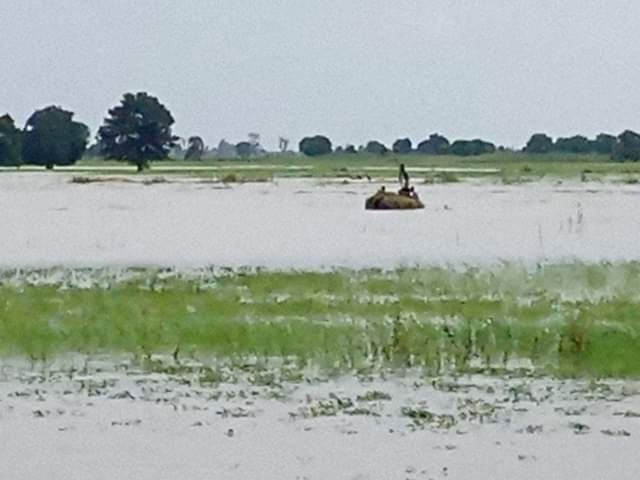 flood-1