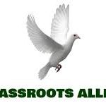 All Grassroots Alliance, AGA