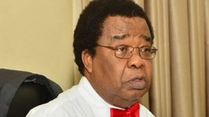 Bolaji Akinyemi, former minister of external affairs, has asked the Federal Government