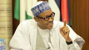 Buhari’s special envoy returns