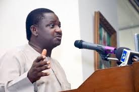 Femi Adesina