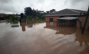 Flood