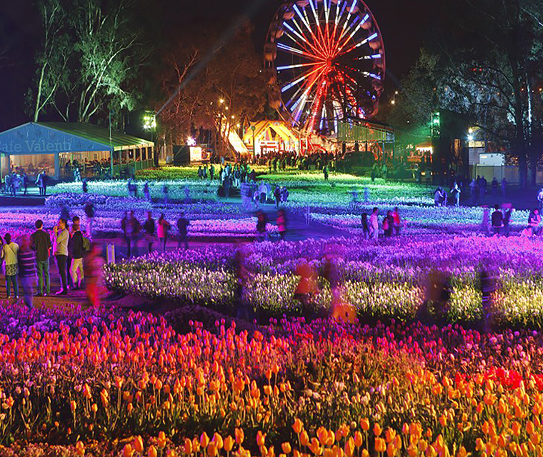 Floriade-canberra-night-spring-mobile