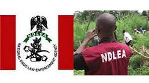 National Drug Law Enforcement Agency (NDLEA)