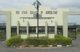 oyo