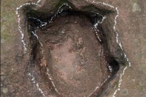 100m year-old dinosaur footprints found in east China