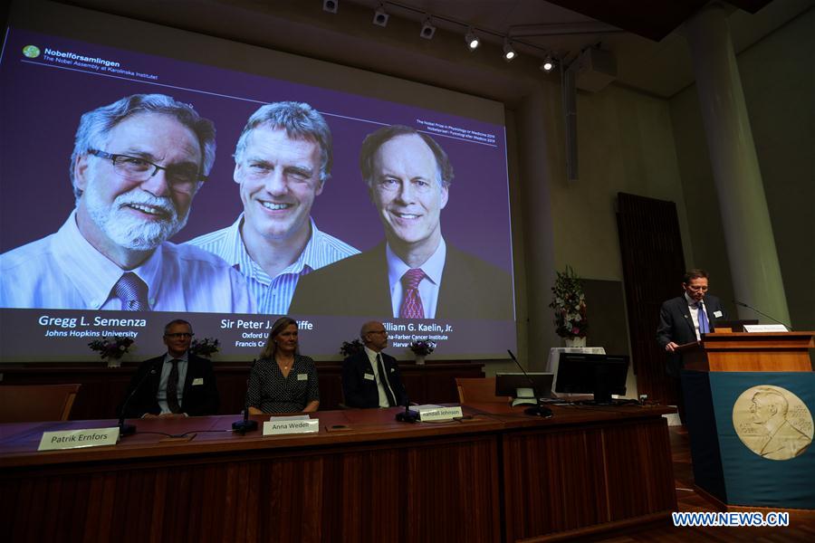 3 scientists share 2019 Nobel Prize in Physiology or Medicine
