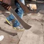 4 deadly cultists on wanted list arrested in Ogun 