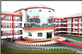 Afe Babalola hospital