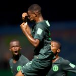 Golden Eaglets