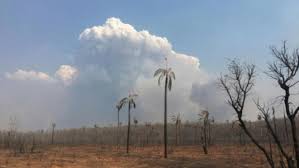 Rain extinguishes Bolivia wildfires