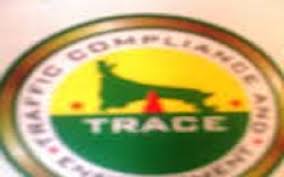 Traffic Compliance and Enforcement Corps