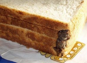 NAFDAC unearths dead rats, cockroach infestation at Abuja bakery