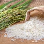 rice production in Nigeria