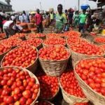 tomato