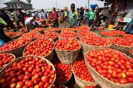 tomato