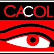 Centre for Anti-Corruption and Open Leadership (CACOL)