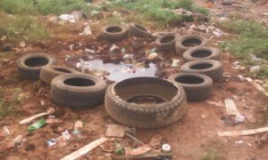 IMG-20191119-WA0078-300×180