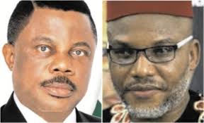 Indigenous People of Biafra (IPOB) has said Governor Willie Obiano