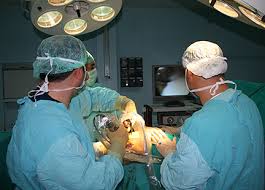 doctor