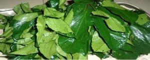 ugwu