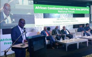 Day Africa met in Lagos to chart effective industrialisation agenda for 2020