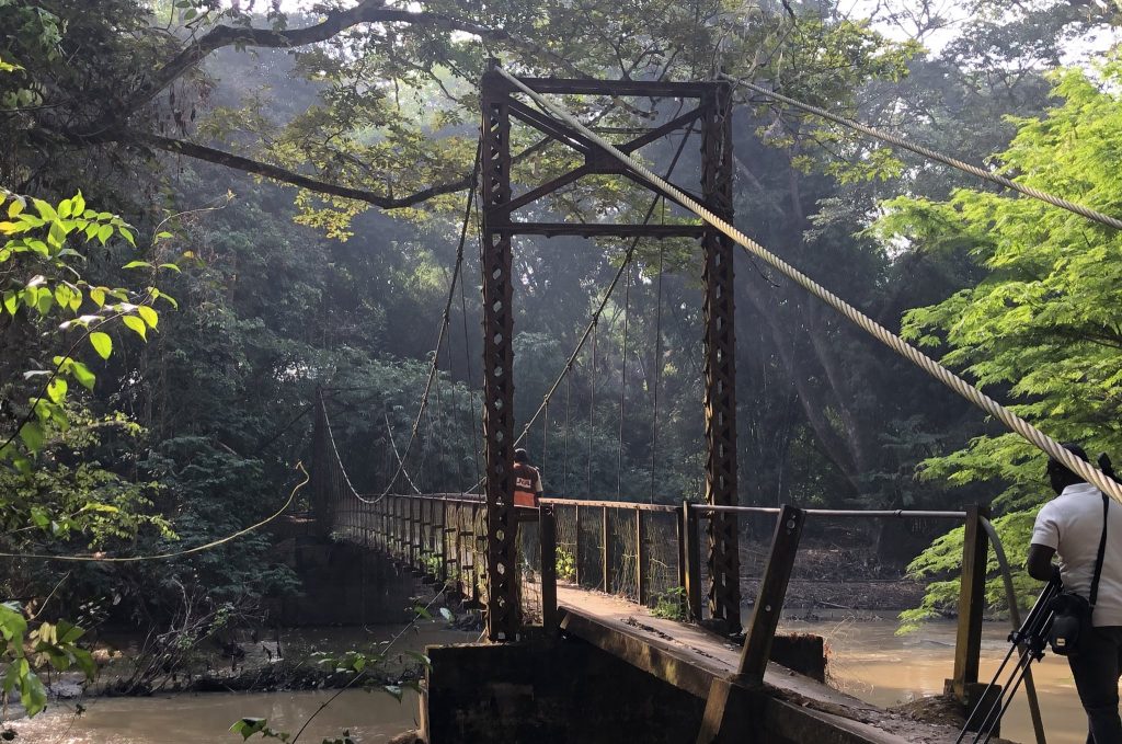 Nigeria resets global attention to Osun-Osogbo Grove