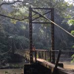 Nigeria resets global attention to Osun-Osogbo Grove