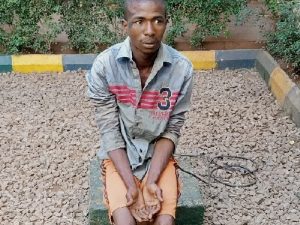 Laulo Isa, herdsman and accused rapist