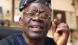  Mr Femi Falana