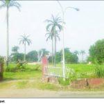 Untitled-11