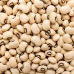 cowpea