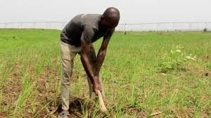 farmers
