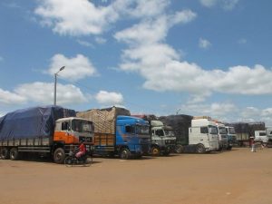 Border Closure: Official reports misleading, says expert
