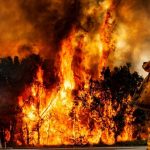 fire1
