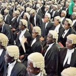 lawyers