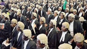 lawyers